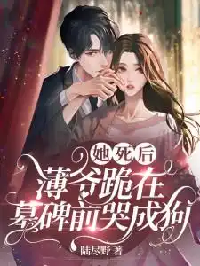 苏清婉夜寻小说封面